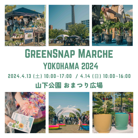 GreenSnap Marche YOKOHAMA 2024出店のお知らせ